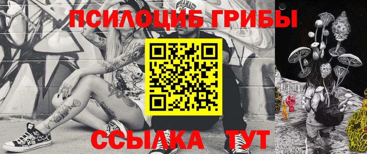 Долгопрудный  Псилоцибиновые грибы Cubensis  Вход с VPN 